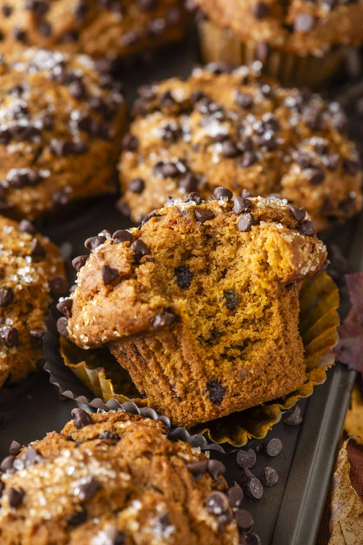 A close-up of Pumpkin Chocolate Chip Muffins, one broken open to reveal a moist, fluffy inside with visible chocolate chips. More Pumpkin Chocolate Chip Muffins and sprinkled chocolate chips are in the background.