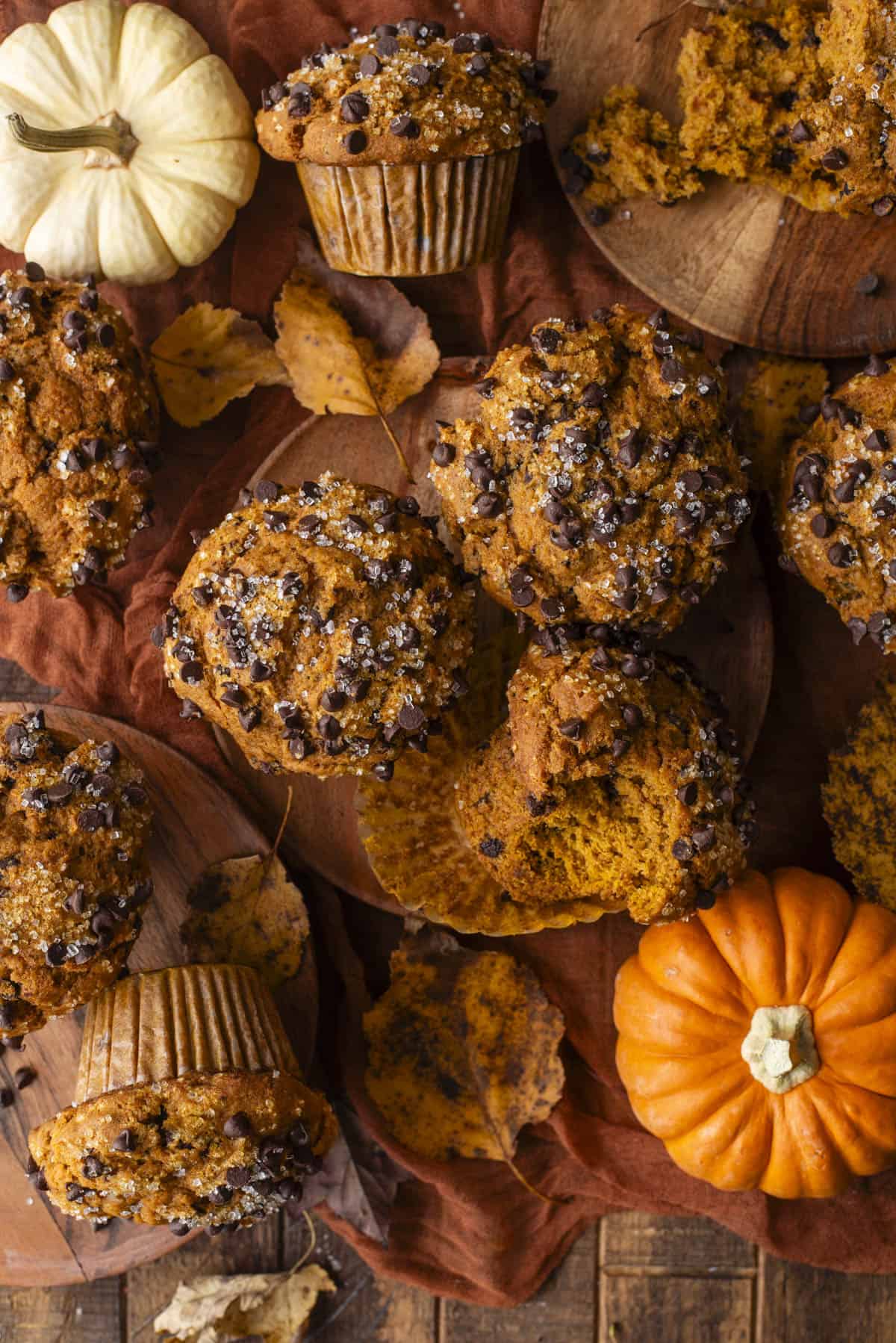 Pumpkin Chocolate Chip Muffins arranged on a rustic cloth with mini pumpkins, autumn leaves, and wooden boards, capture the cozy essence of fall.