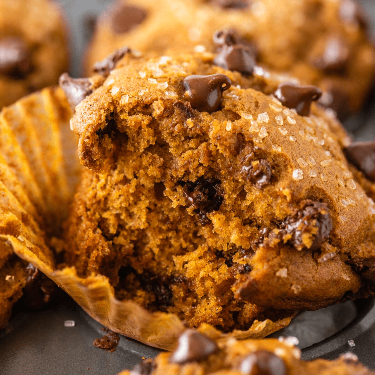 A pumpkin chocolate chip muffin with a bite taken sits in its loosened liner.