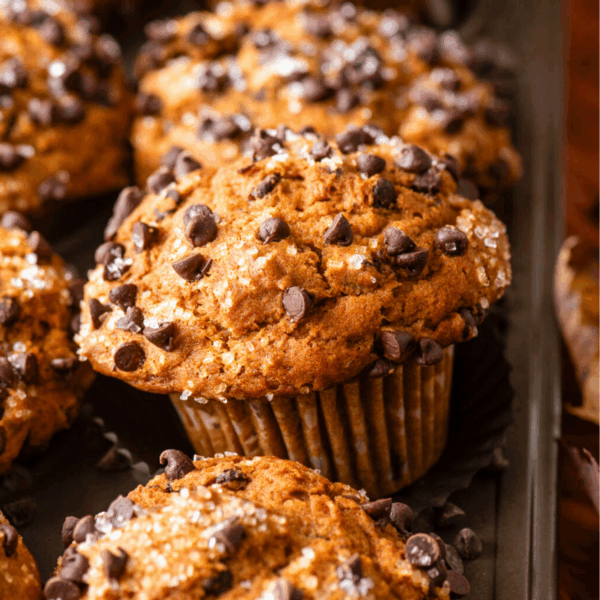 Close-up of freshly baked Pumpkin Chocolate Chip Muffins topped with chocolate chips and coarse sugar, arranged in a muffin tin. The muffins have a golden-brown color and a slightly domed top.