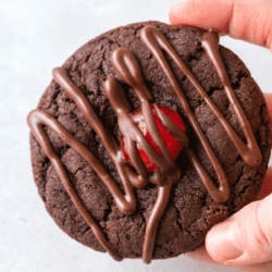 A hand holding a chocolate covered cherry cookie