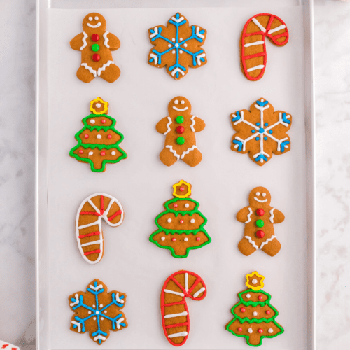 https://thefirstyearblog.com/wp-content/uploads/2022/11/Gingerbread-Cookies-Square-2022-500x500.png