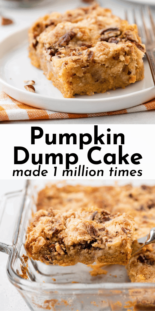 Pumpkin Dump Cake - The First Year