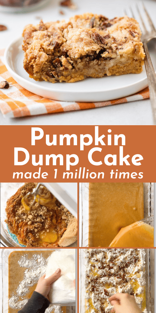 Pumpkin Dump Cake - The First Year