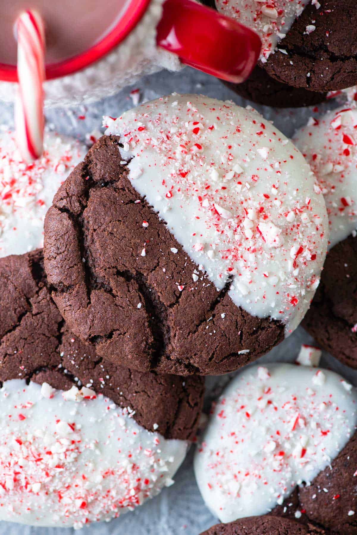 Close up of a chocolate cookie dipped in white chocolate topped with crushed candy canes 