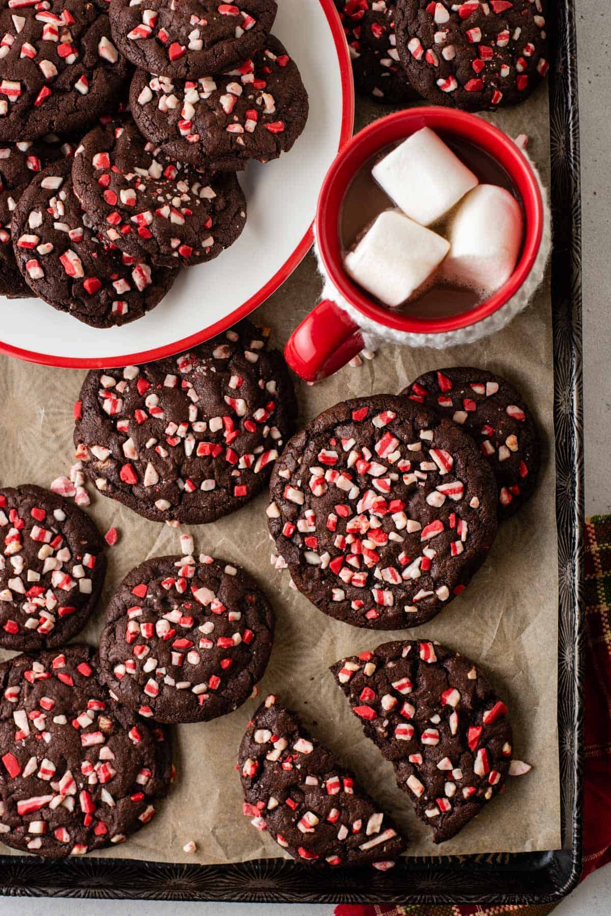 Overhead view of chocolate peppermint cookies on a baking sheet