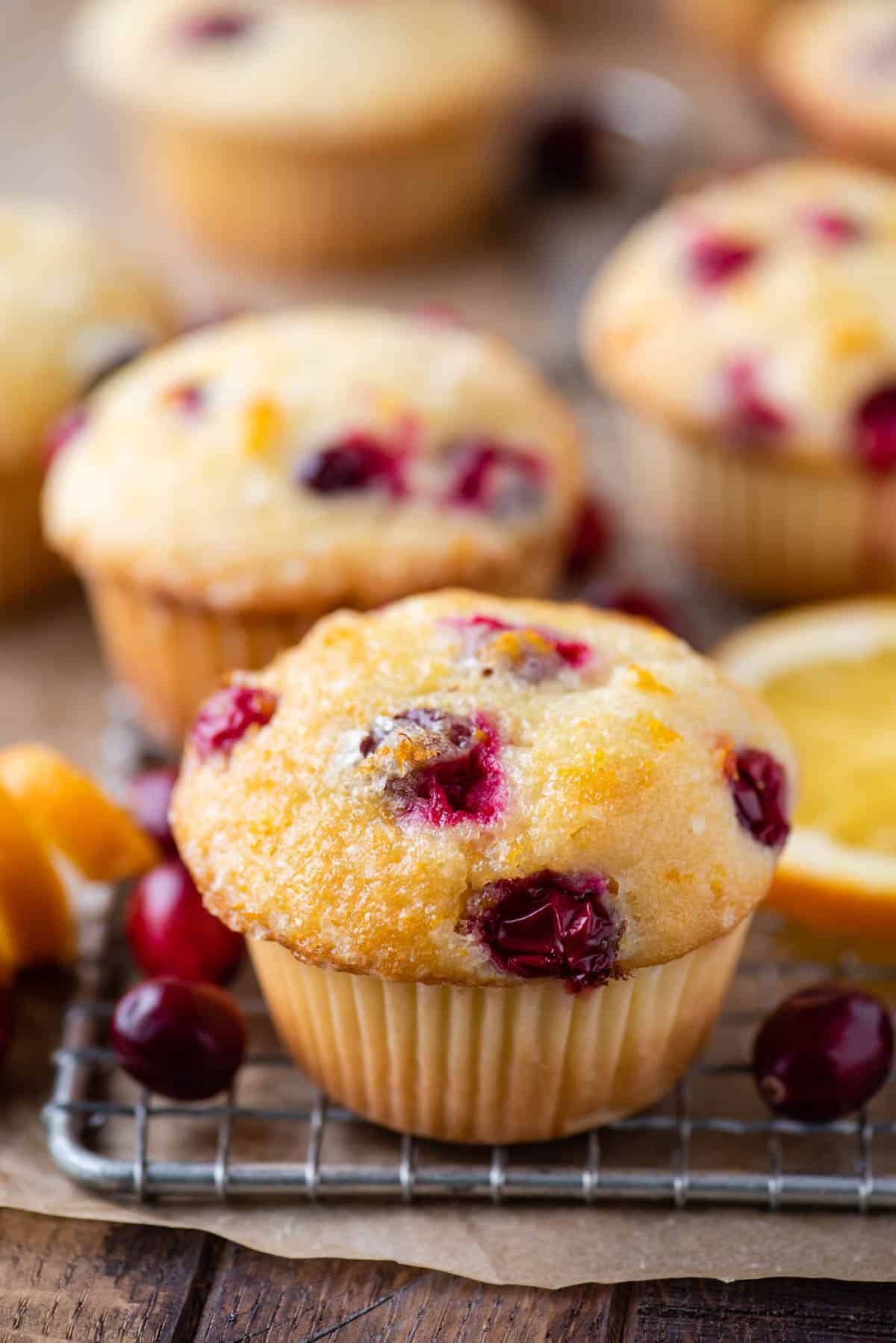 Overhead view of cranberry orange muffins