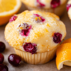 Close-up of a bakery style cranberry orange muffin