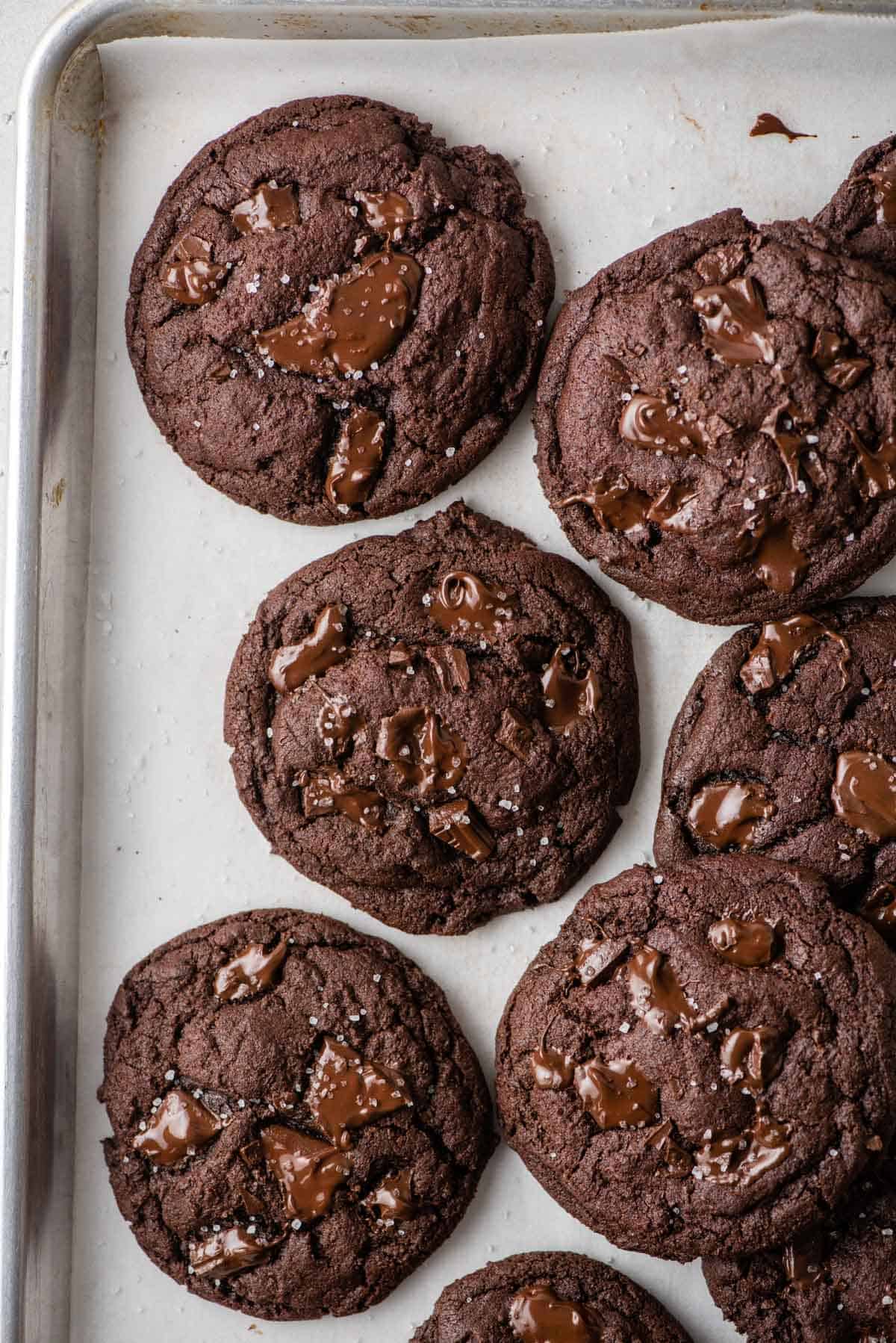 Overhead view of thick and chewy chocolate cookies