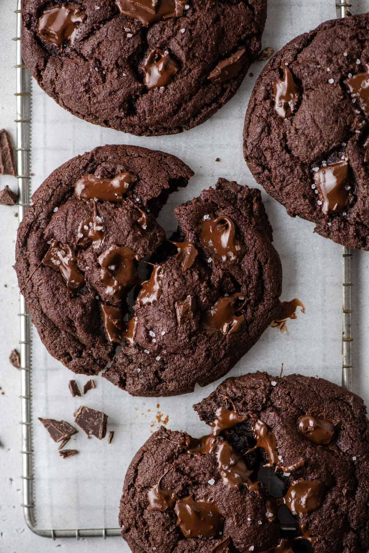 Overhead view of chocolate cookies