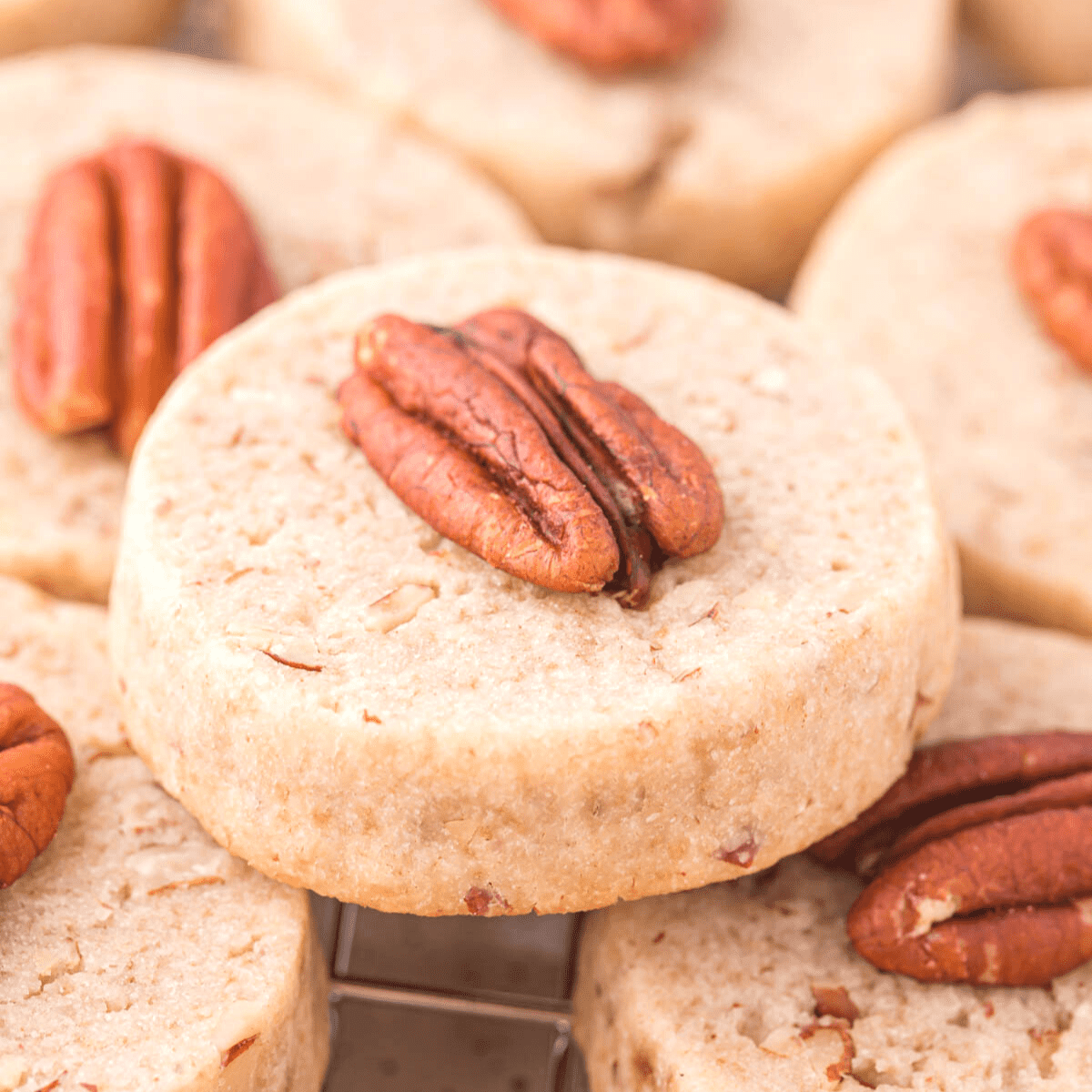 Homemade pecan sandies the first year