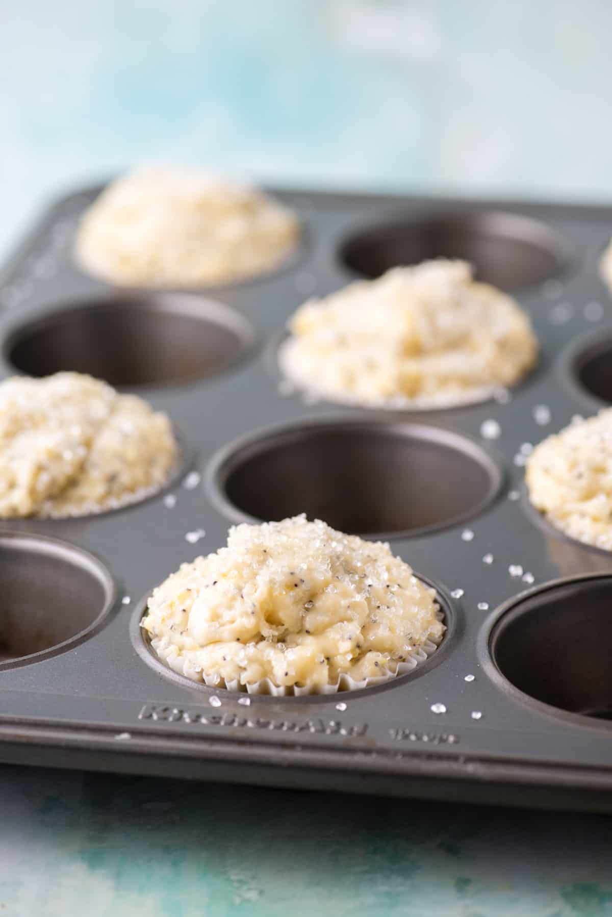 lemon poppy seed muffin batter in a muffin pan