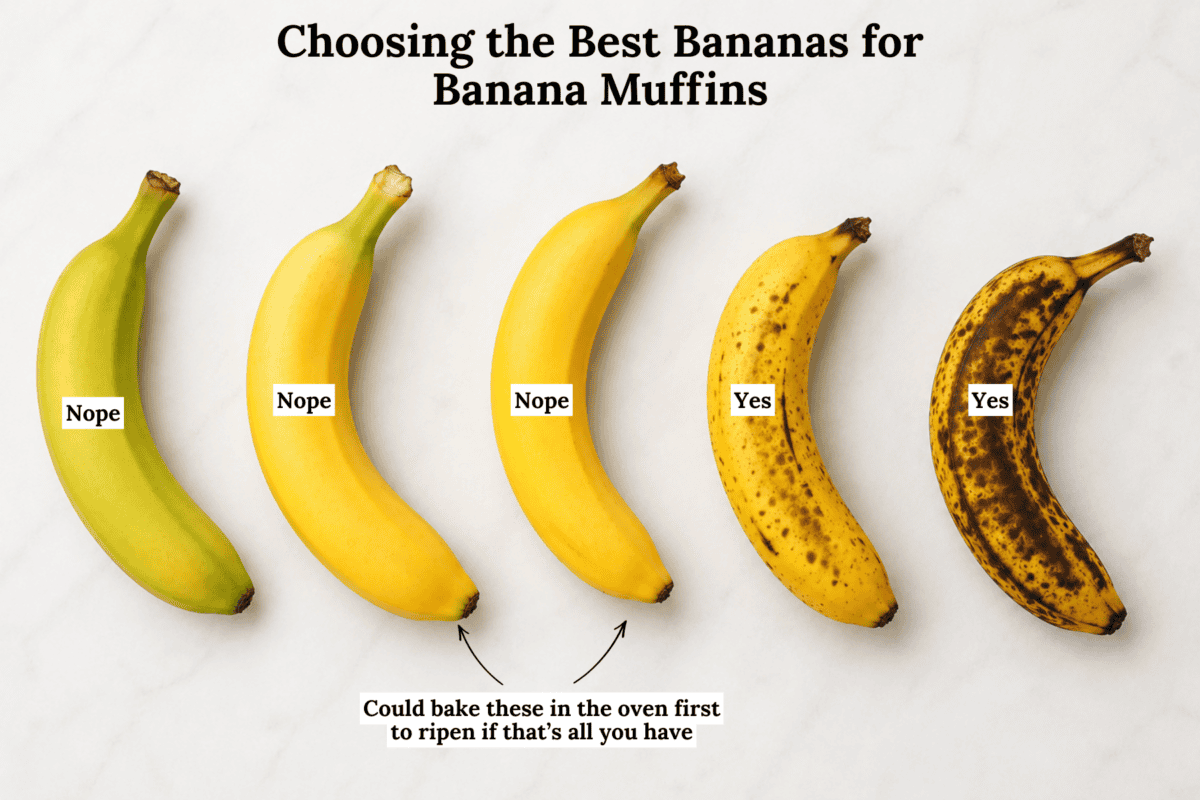Four bananas are lined up from least to most ripe, each labeled to show the best ripeness for making banana muffins. Only the two ripest bananas are marked as suitable, perfect for easy banana muffins, while the first three are clearly labeled Nope.