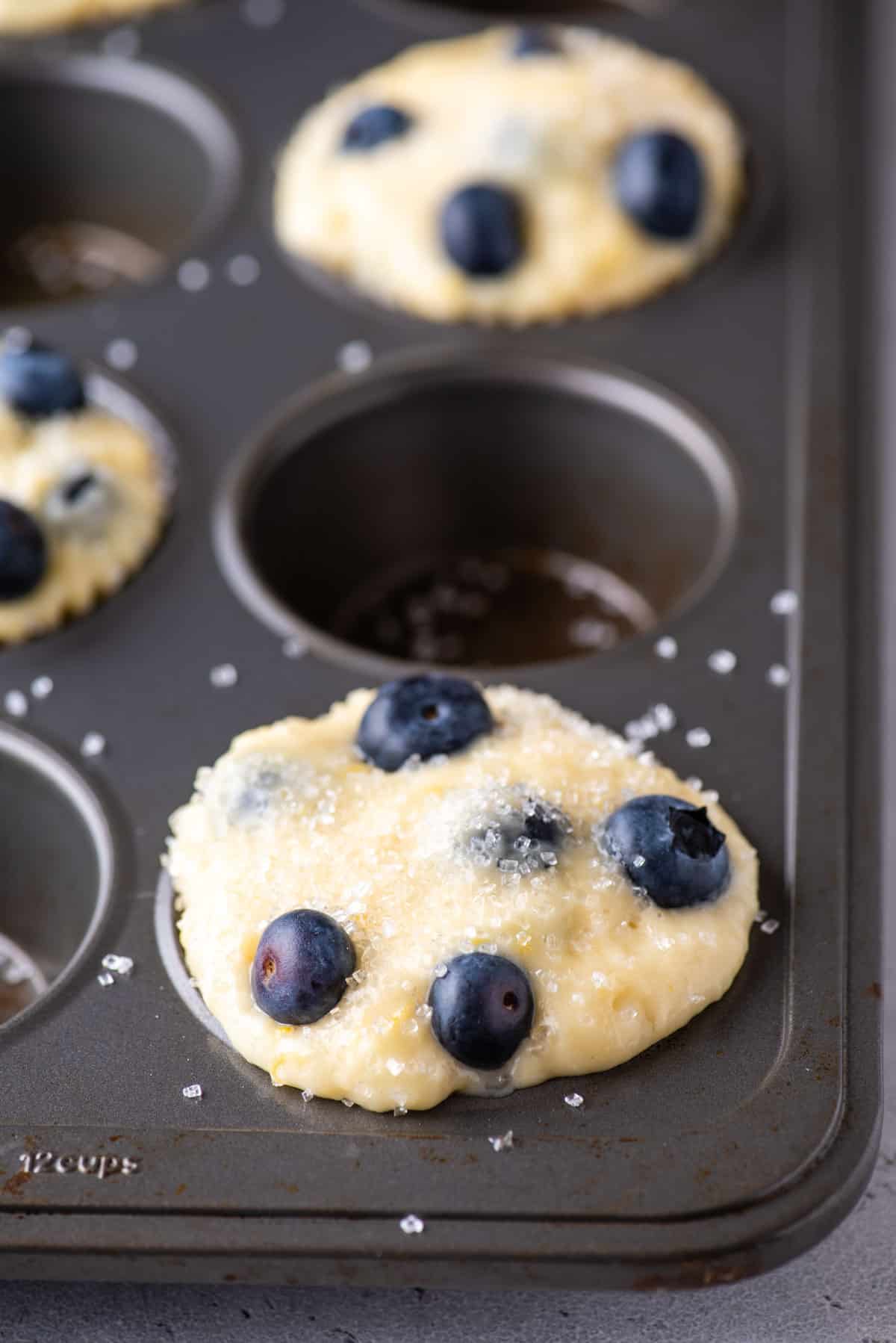 lemon blueberry muffin batter in a muffin pan
