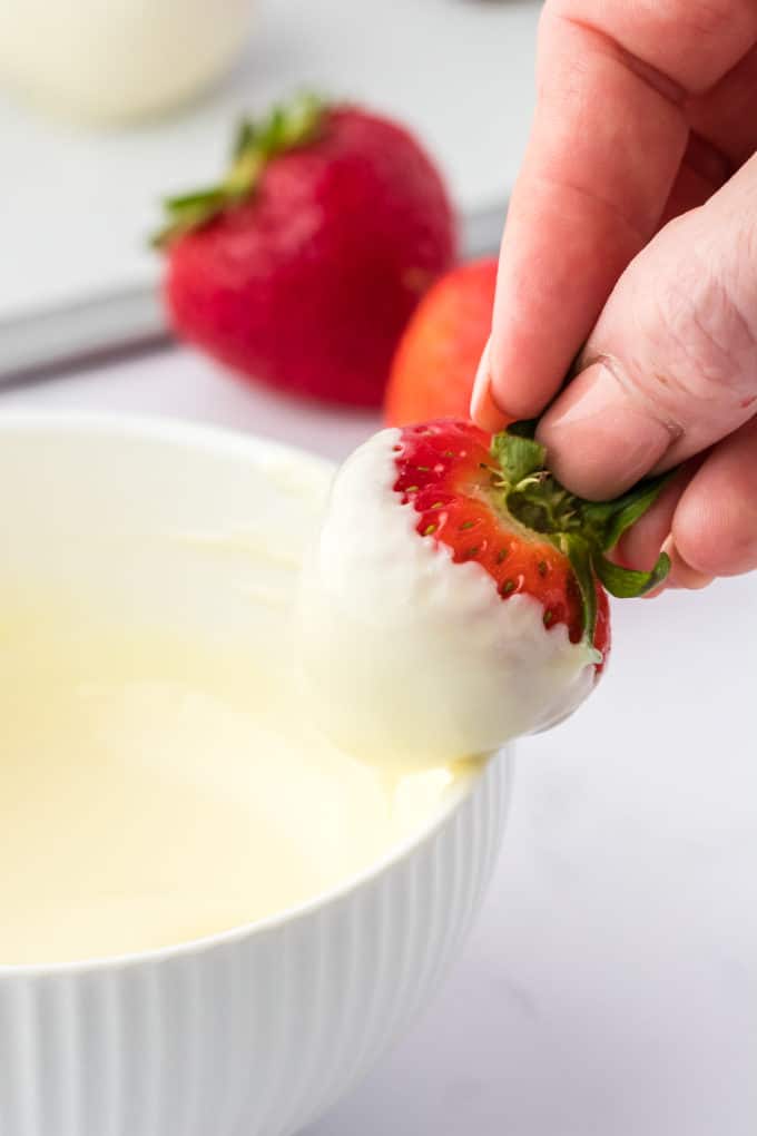 A strawberry that has been dipped in melted white chocolate being held over the bowl of chocolate, letting the excess chocolate drizzle off