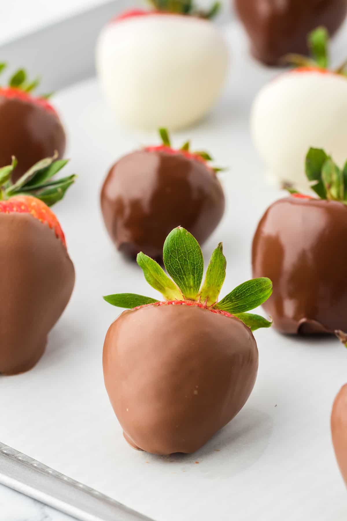 chocolate covered strawberries drying on a parchment paper lined baking sheet