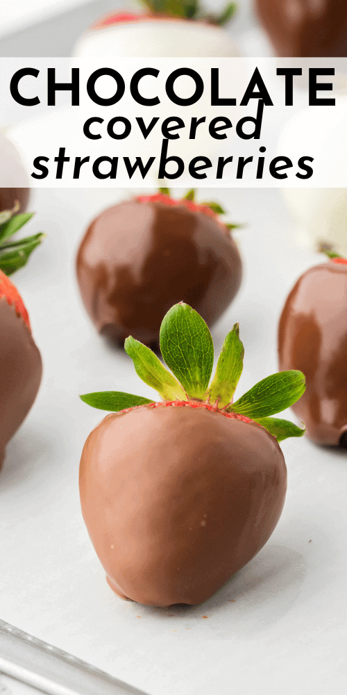 Chocolate Dipped Strawberries Recipe - The First Year