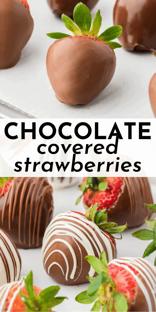 Chocolate Dipped Strawberries Recipe - The First Year