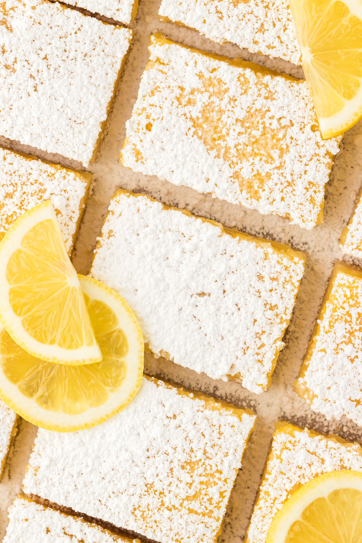 lemon bars close up from the top dusted with powered sugar and topped with lemon slices