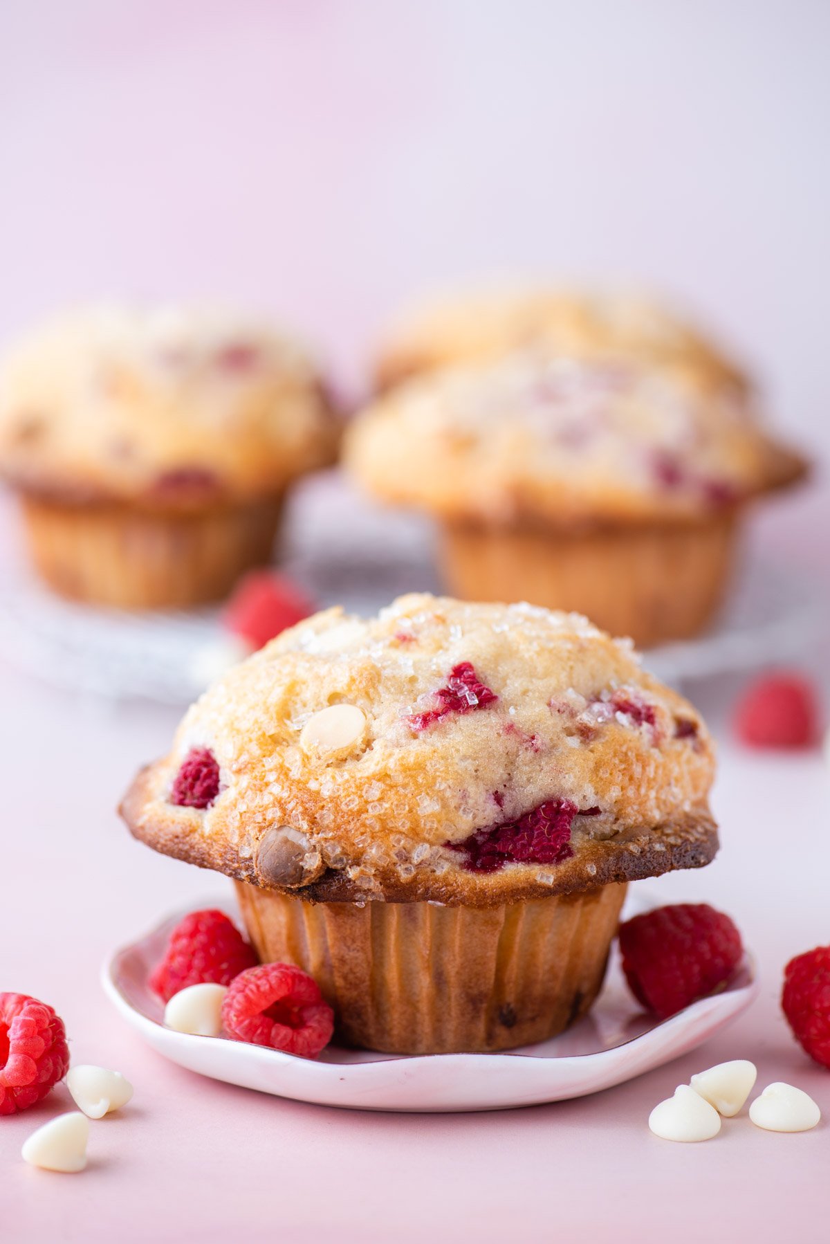 a raspberry chocolate chip muffin on a small white plate on a pink surface with fresh raspberries and white chocolate chips sprinkled around it and more muffins in the background