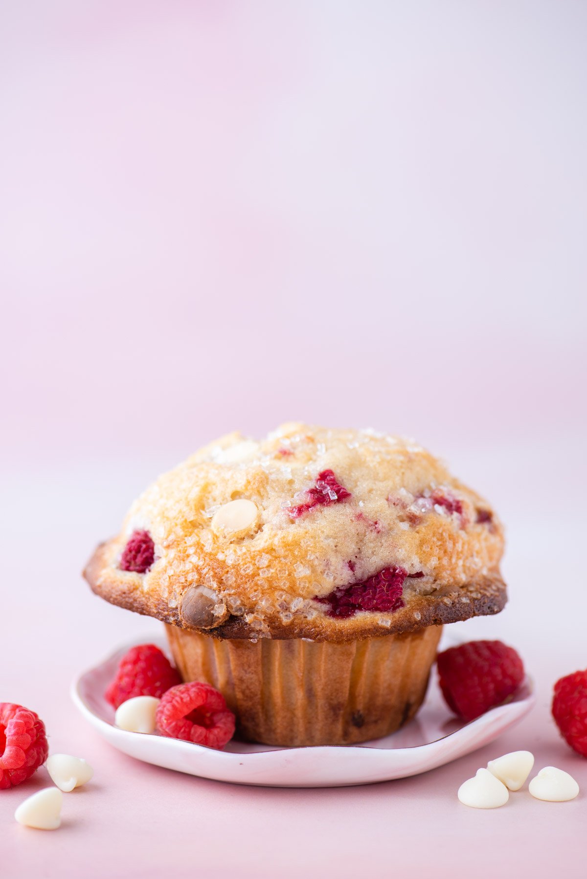 one raspberry white chocolate chip muffin on a small white plate with fresh raspberries and white chocolate chips sprinkled around, on a pink surface