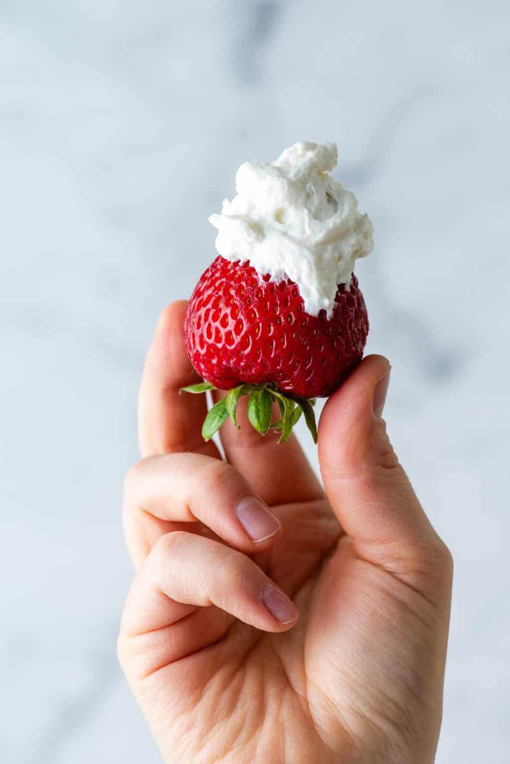 Easy Stabilized Whipped Cream Recipe The First Year
