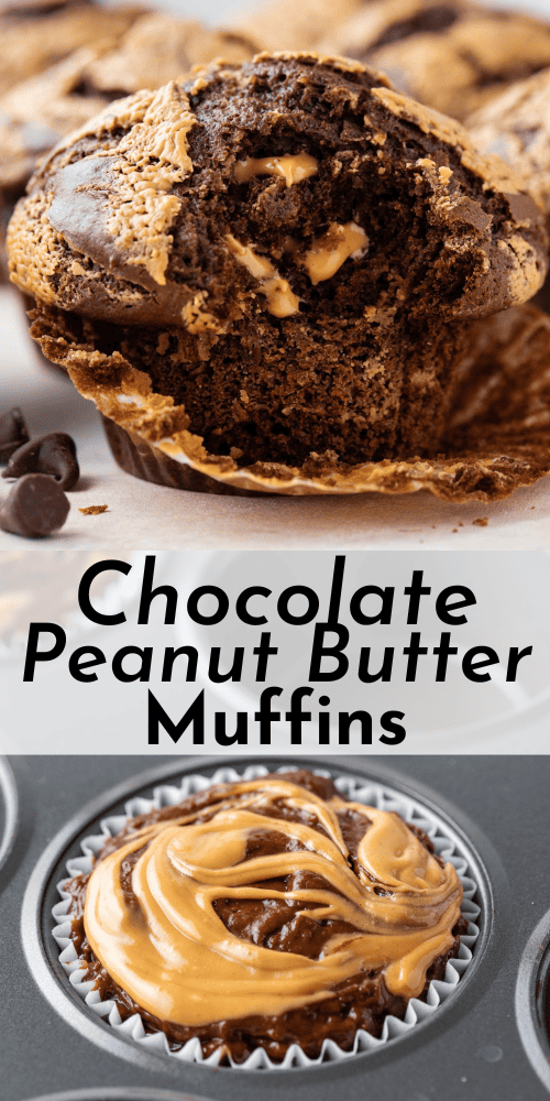 Chocolate Peanut Butter Muffins - The First Year