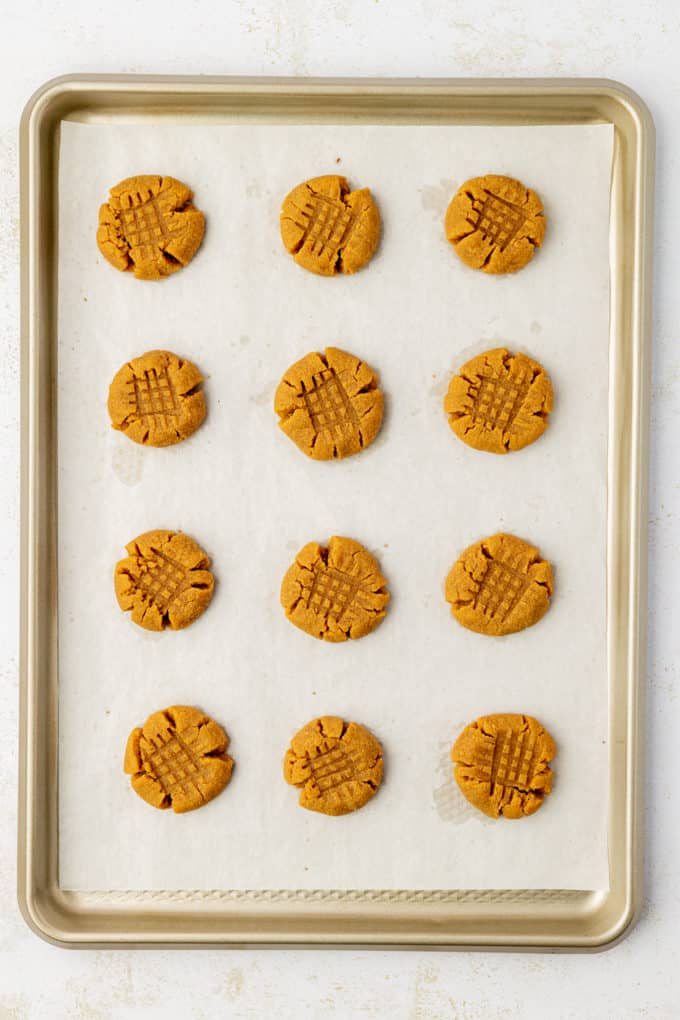 3-Ingredient Peanut Butter Cookies in rows of 3 on a baking sheet lined with parchment paper