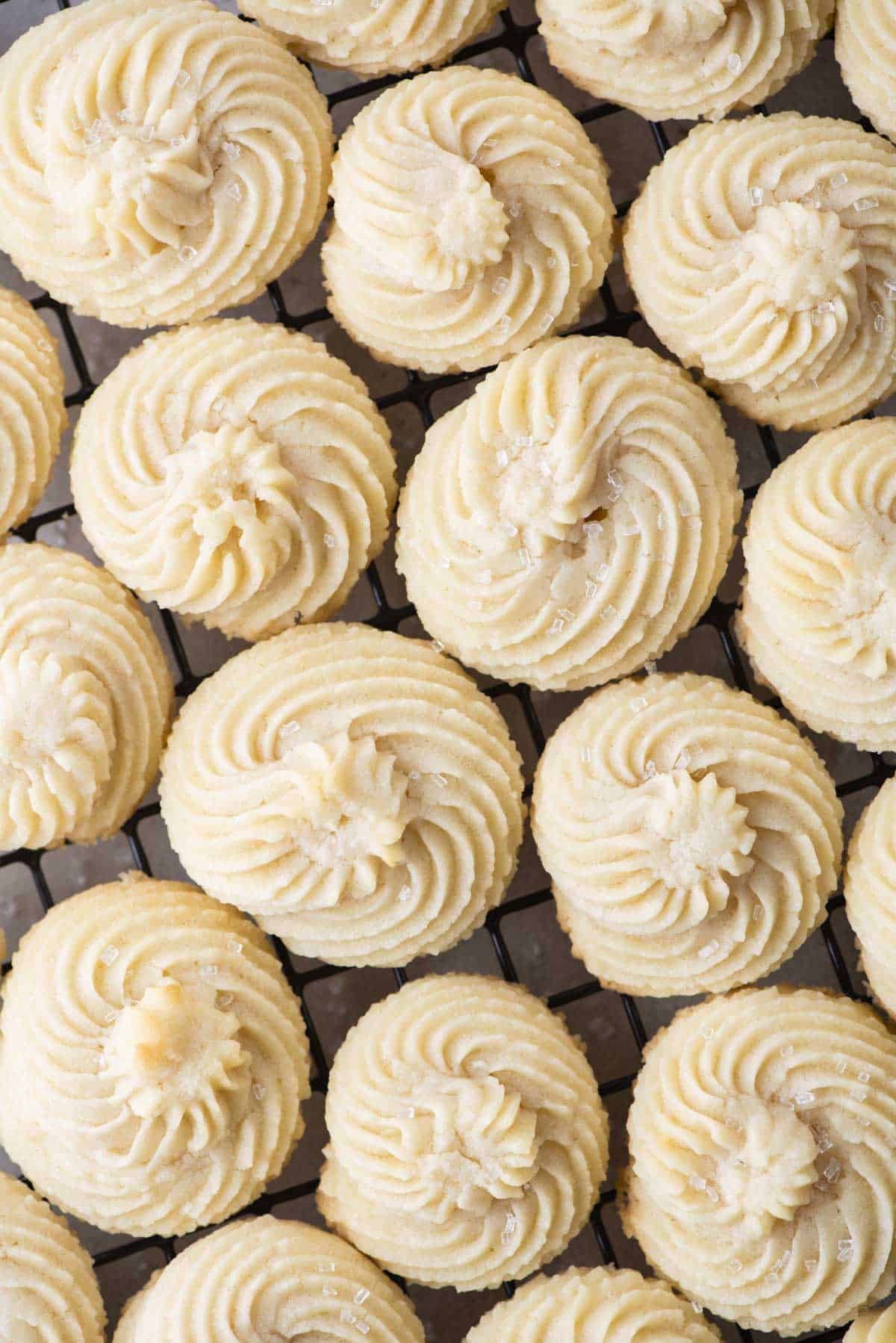 close up of rows of plain butter cookies