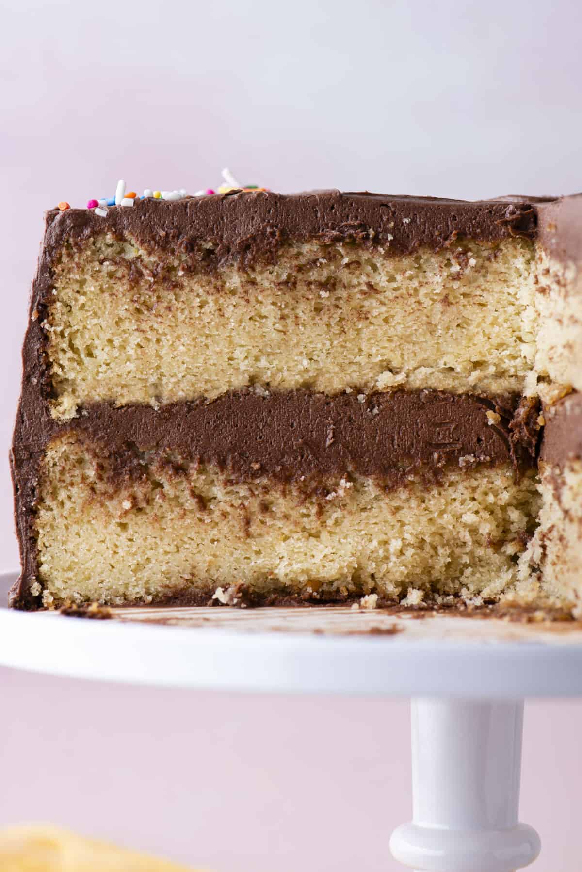 close up of the side of a two layer gluten free cake on a cake stand that has a slice missing, explosing the layers inside of cake and chocolate frosting