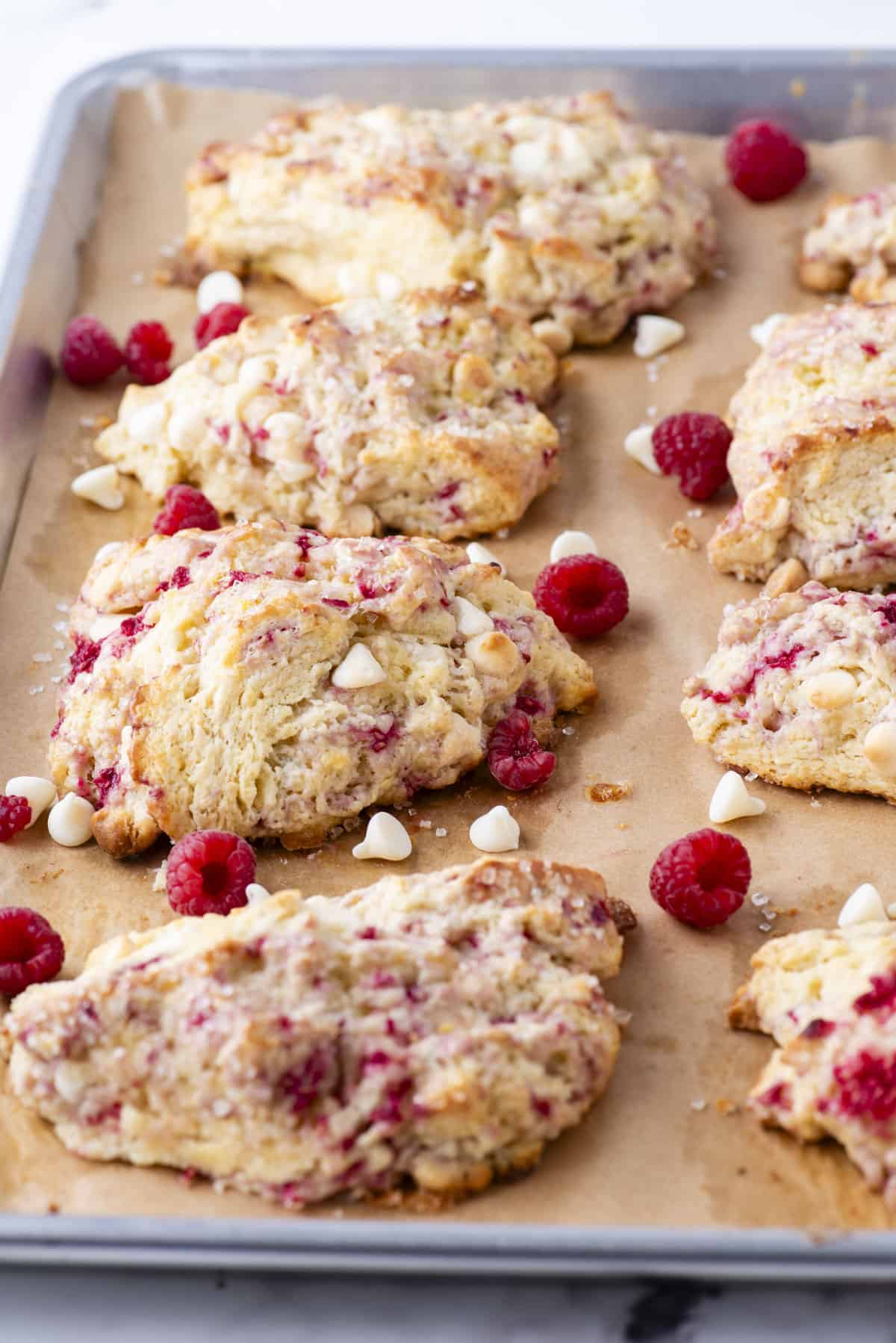 raspberry white chocolate chip scones on a baking sheet lined with parchment paper with fresh raspberries and mini white chocolate chips sprinkled around them