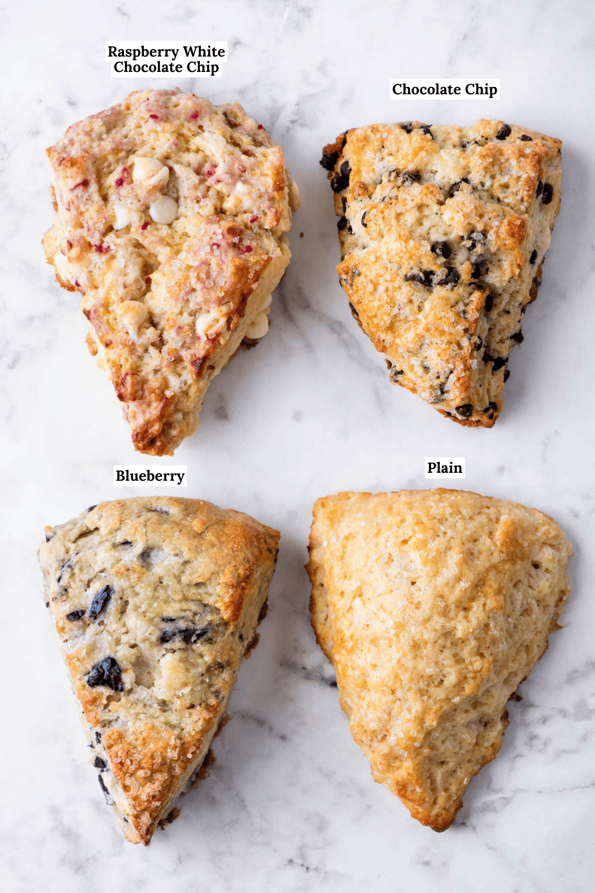 a labeled photo showing four flavors of scones: raspberry white chocolate chip, chocolate chip, blueberry, and plain