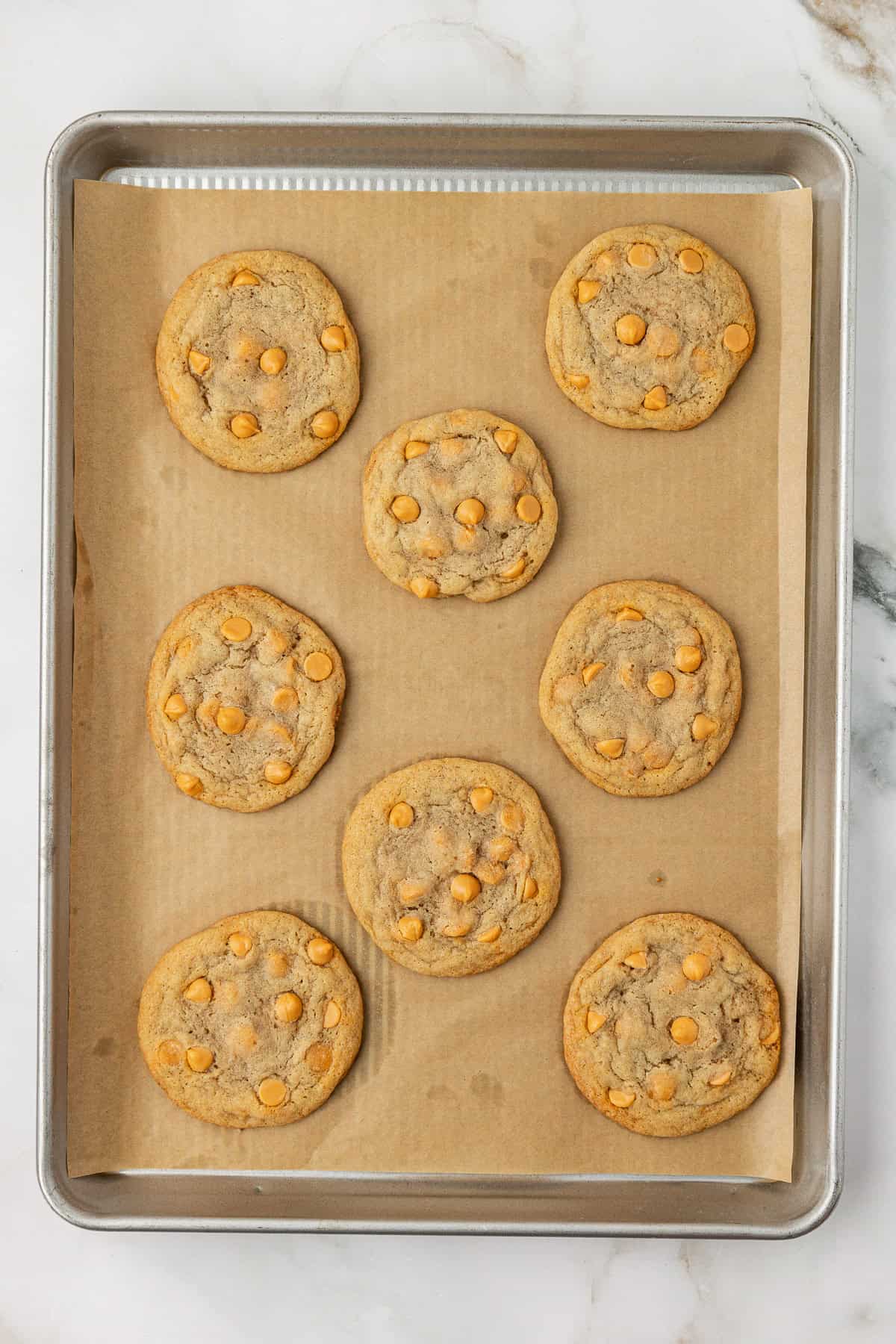 over head view of butterscotch cookies baked on a baking sheet lined with parchment paper