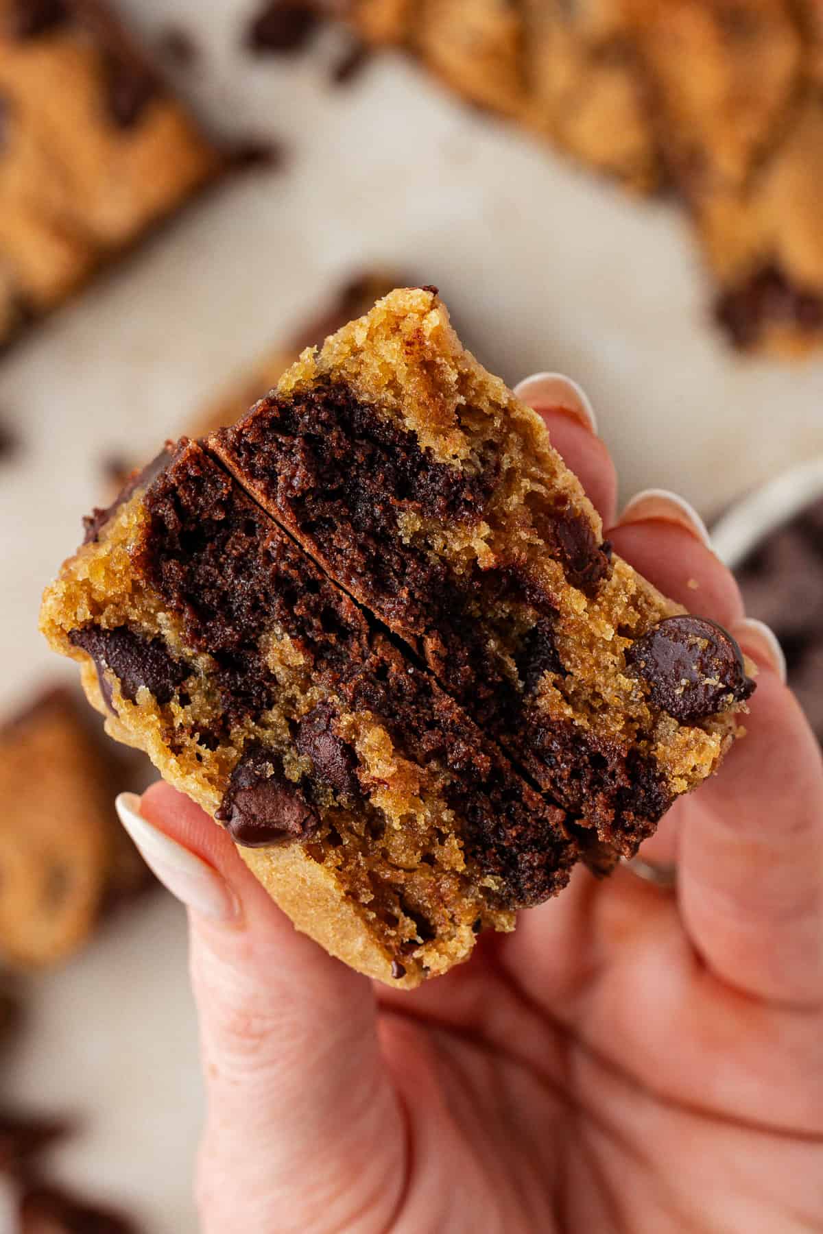 a hand holding a brookie that is split in half so you can see the center of it with layers of brownie and chocolate chip cookie