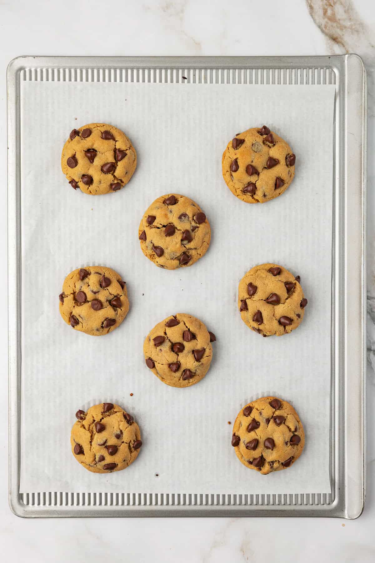 over head view of a baking sheet lined with white parchment paper and freshly baked peanut butter chocolate chip cookies in rows