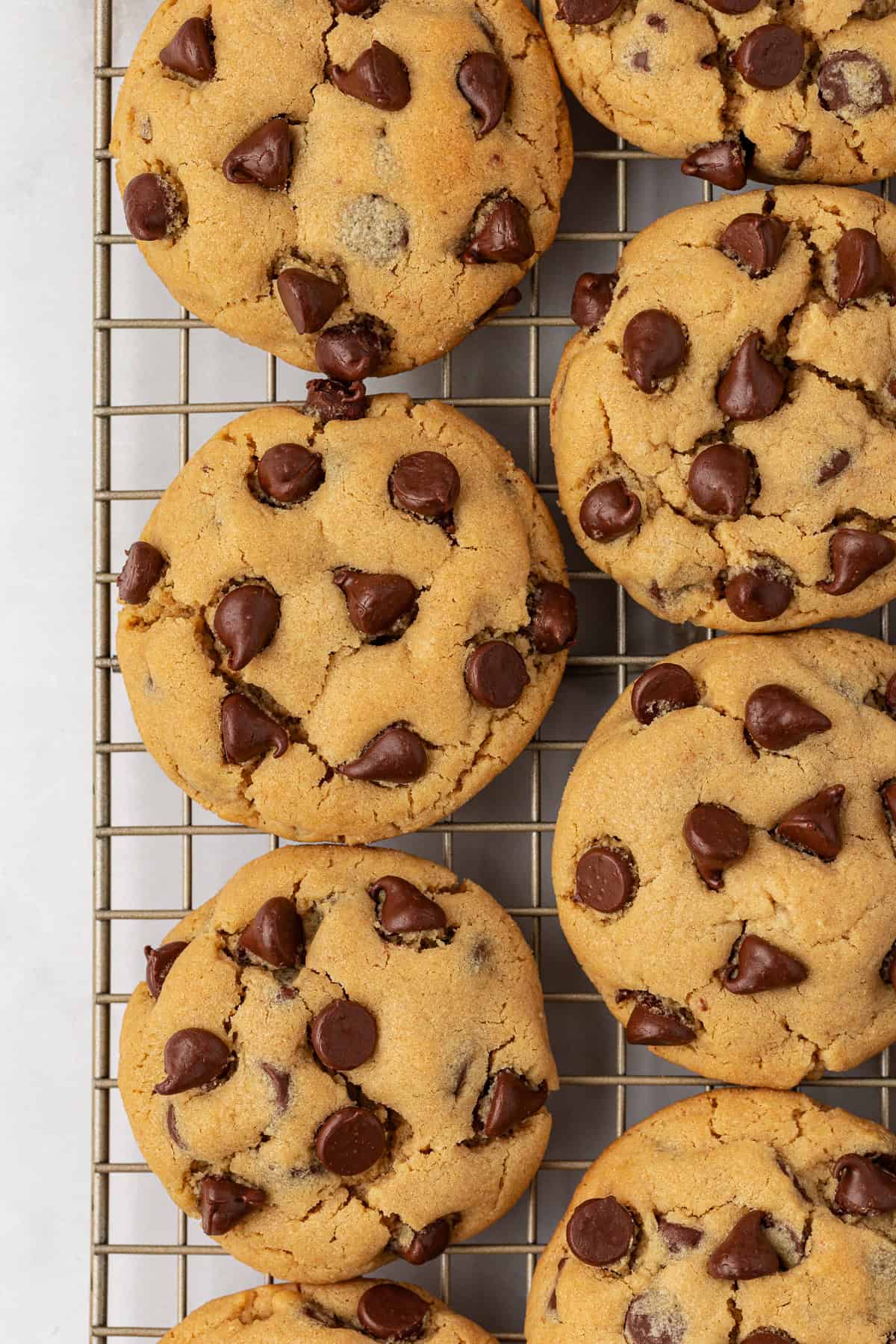 over head view of two rows of peanut butter chocolate chip cookies on a wire rack