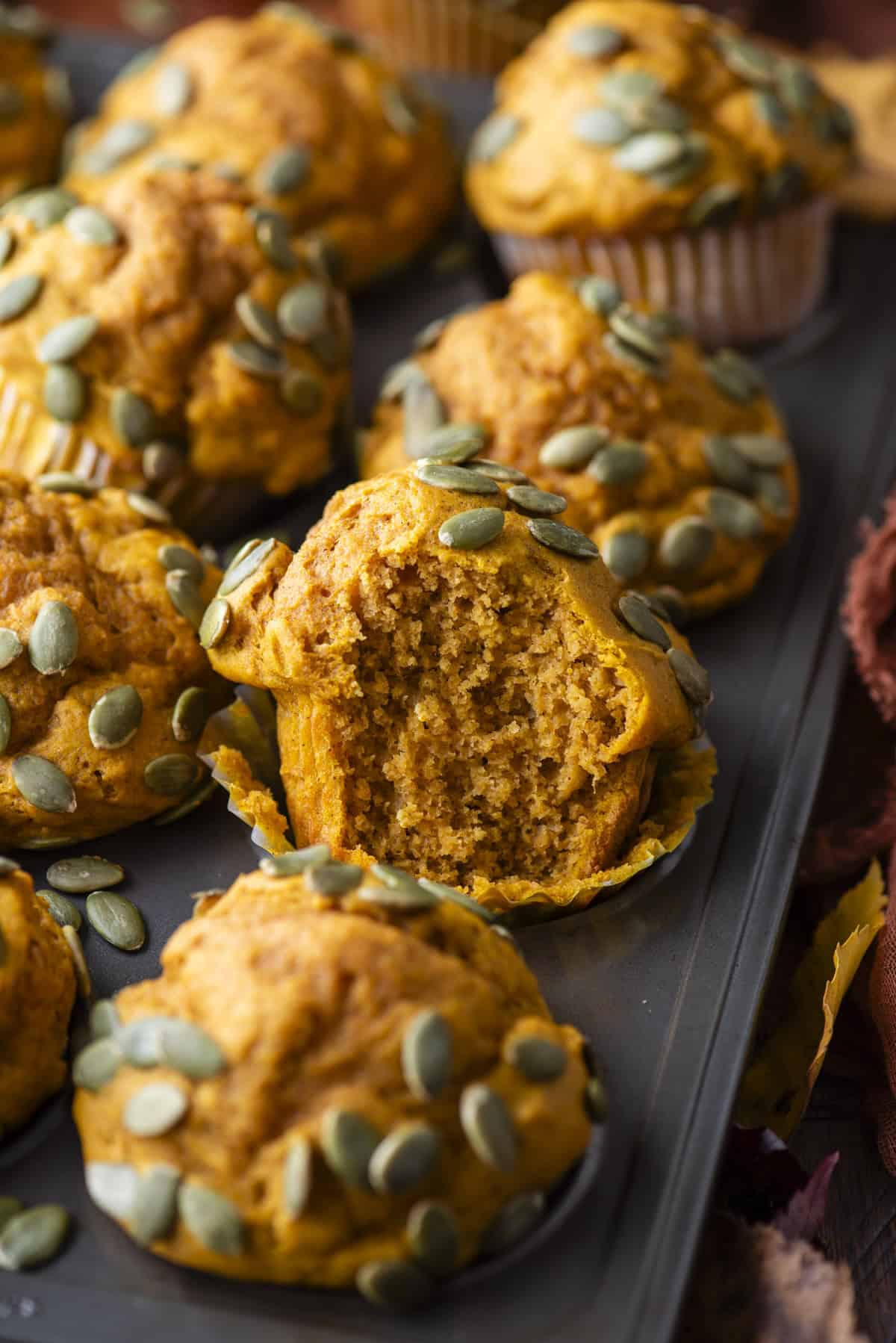 close up of pumpkin muffins in a muffin pan, with one muffin missing a bite