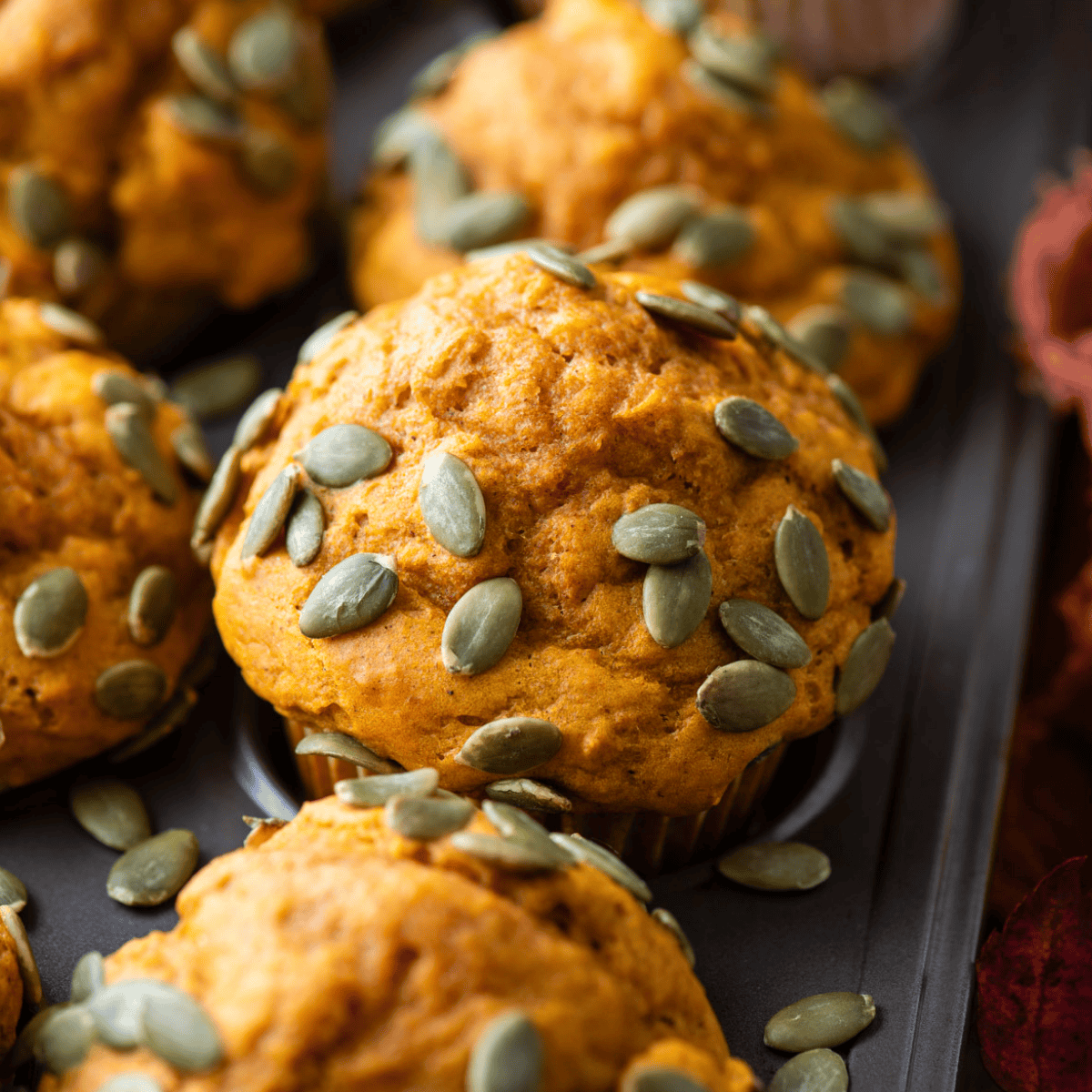 close up of pumpkin muffins topped with pumpkin seeds in a muffin pan