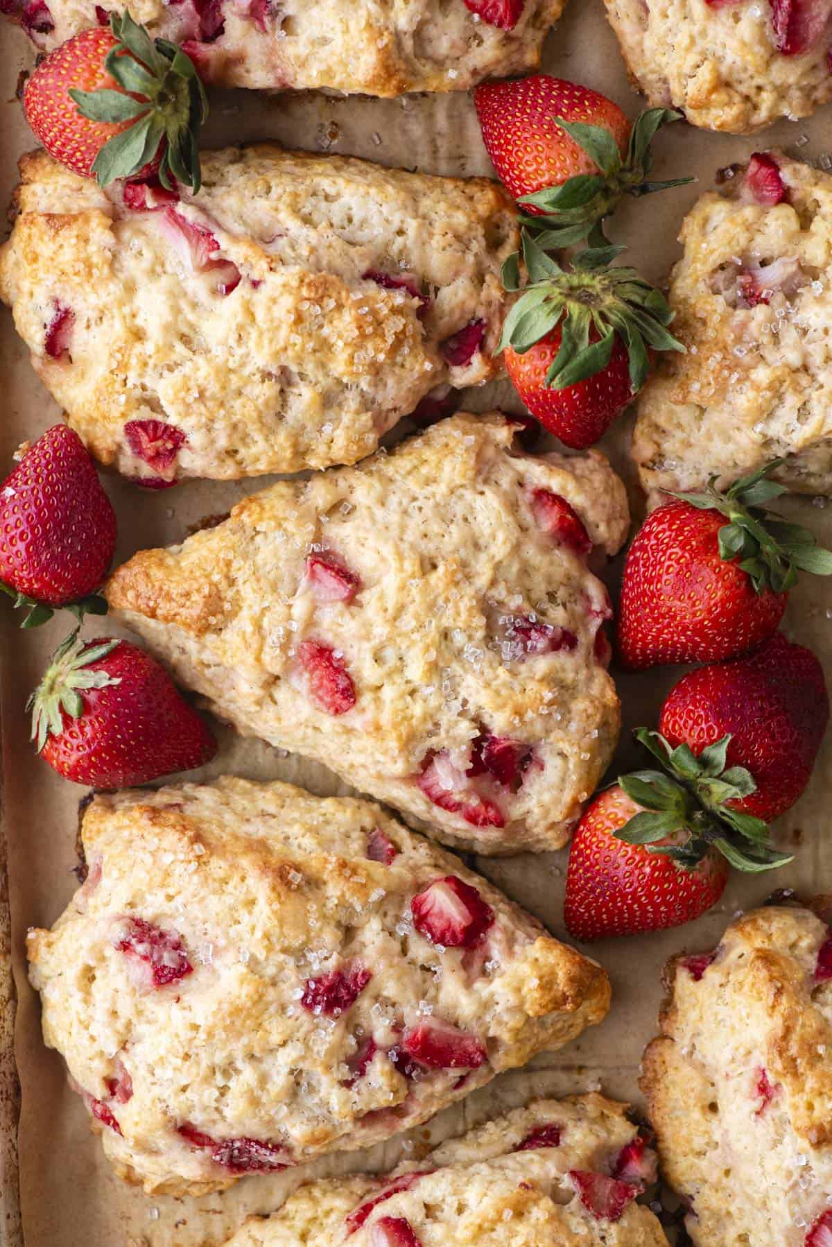 Freshly baked strawberry scones are arranged on parchment paper, accompanied by whole strawberries. The scones are golden brown with visible strawberry pieces, and a light sugar glaze on top adds a glistening touch.