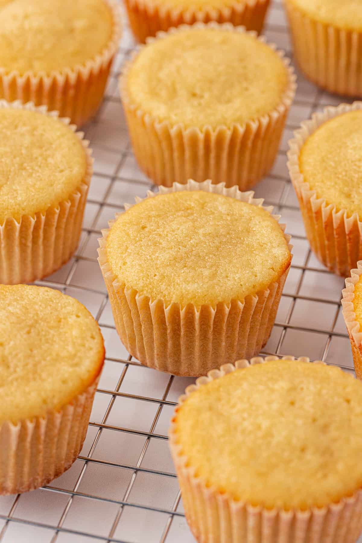 Several plain vanilla cupcakes in paper liners are cooling on a wire rack, viewed from above. The cupcakes are golden brown and appear soft and fluffy.