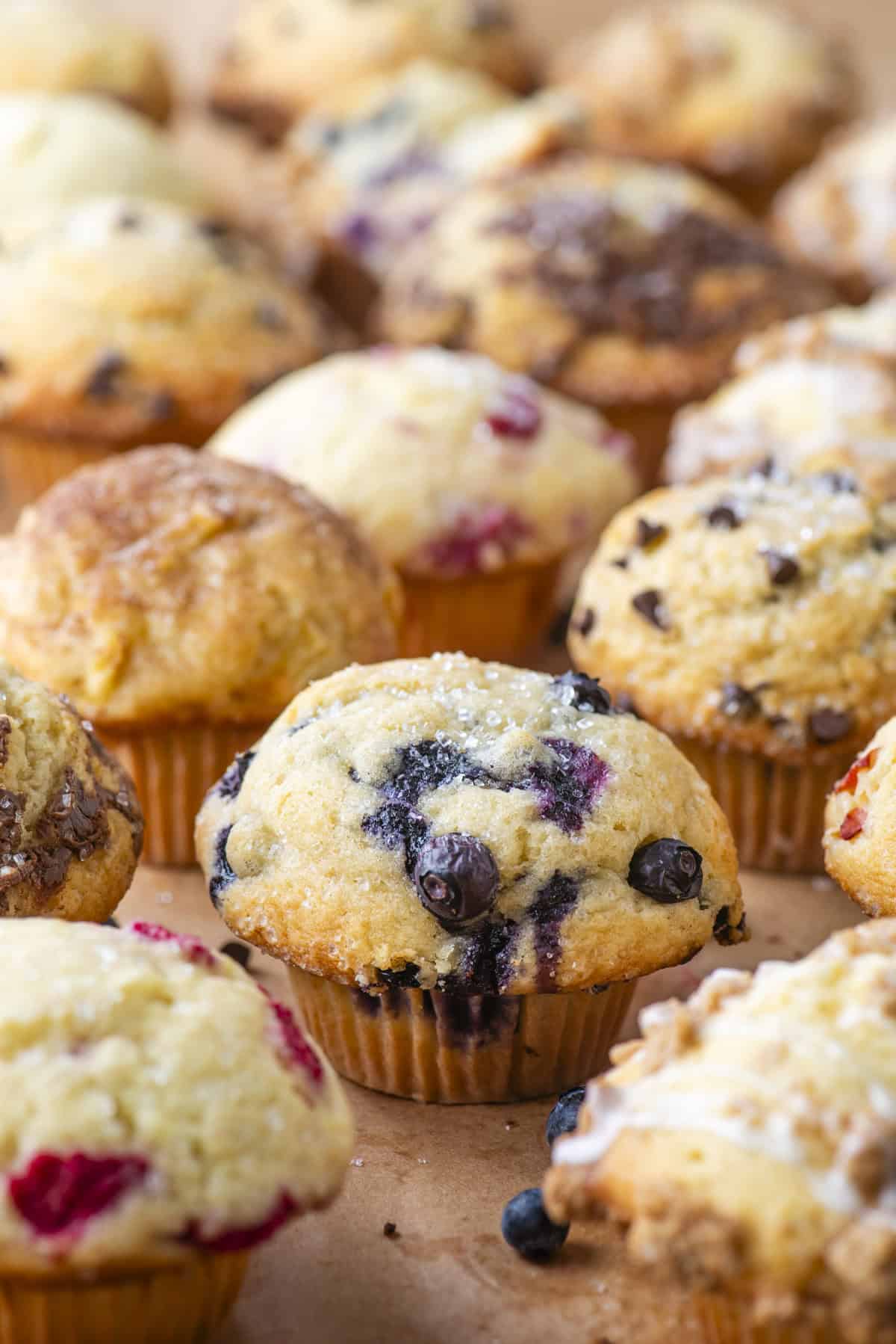 A close-up of assorted homemade muffins, including blueberry, chocolate chip, and berry varieties, arranged on a brown parchment surface. The muffins look freshly baked and slightly golden.