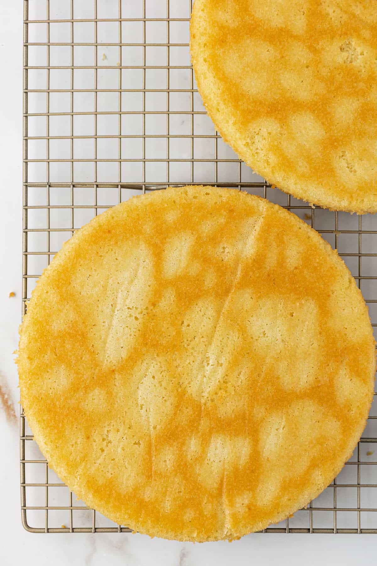 Two round, golden sponge cakes cooling on a metal wire rack, with a light, airy texture visible on the cake surfaces. The cakes are placed side by side on a white background.