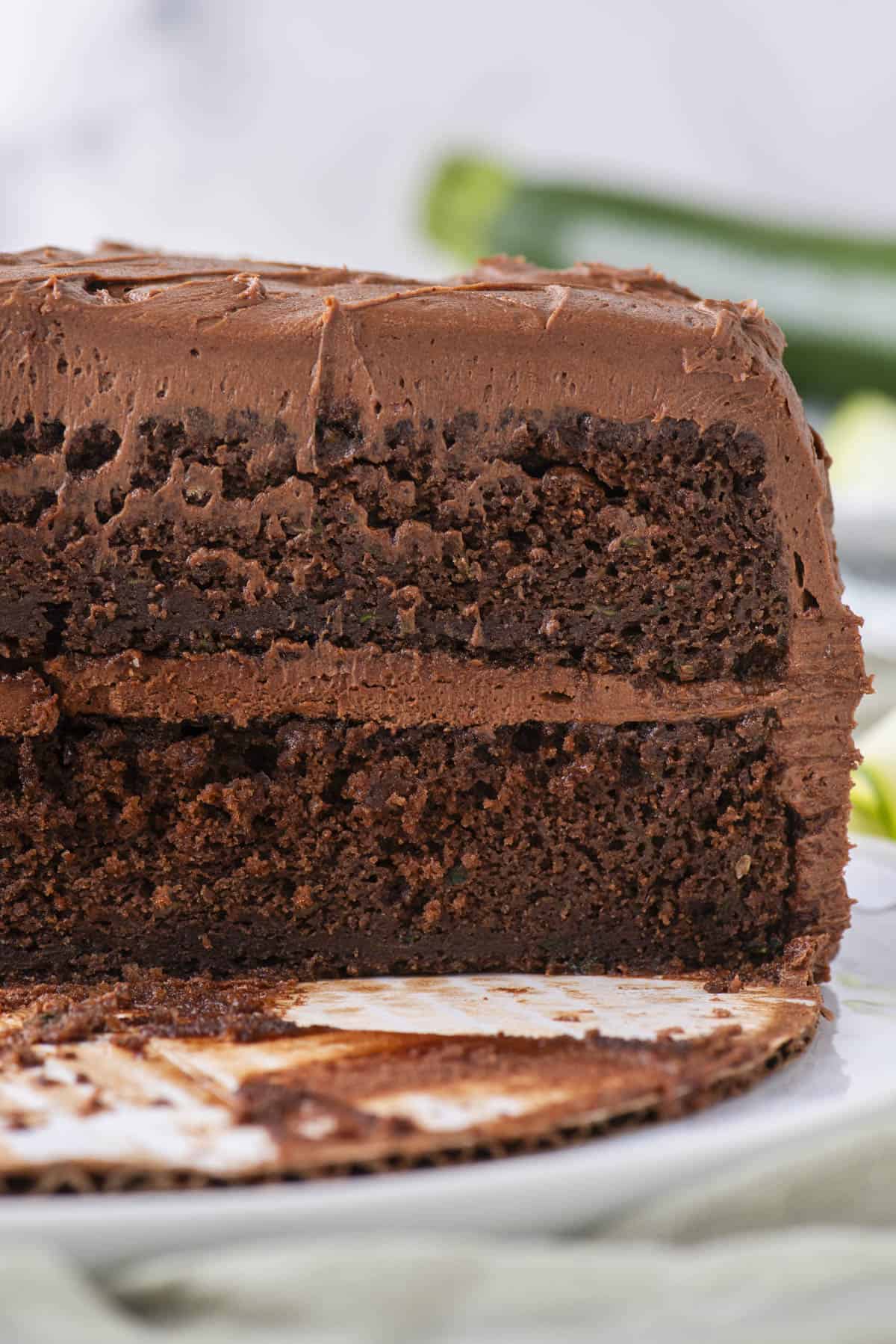 A close-up of a chocolate layer cake with chocolate frosting, showing a slice removed to reveal the moist texture inside. The background is blurred with hints of green.
