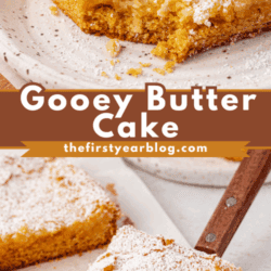 Close-up of gooey butter cake bars topped with powdered sugar on plates and parchment paper, with a bite taken from one piece. Text in the center reads “Gooey Butter Cake thefirstyearblog.com.”.