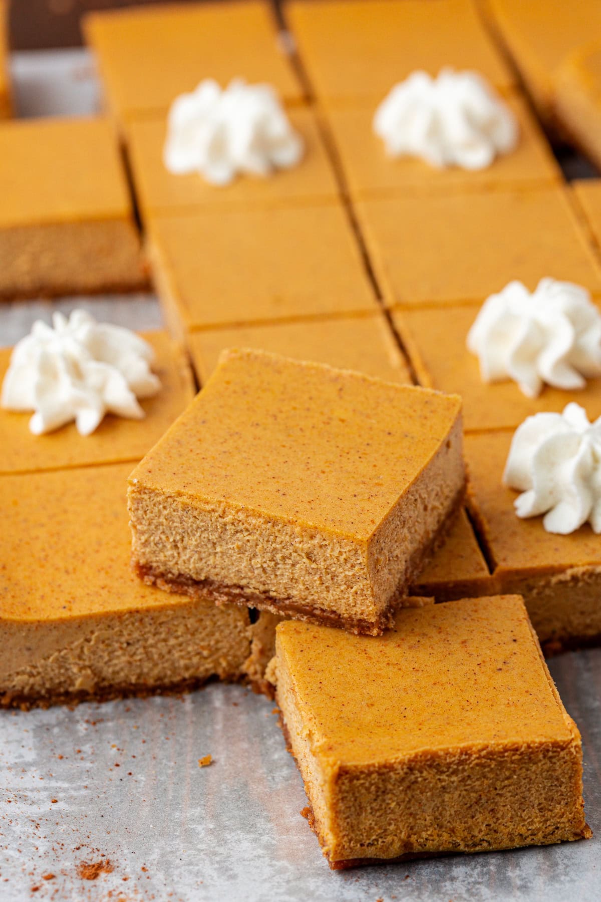 Pumpkin cheesecake bars arranged on a baking sheet, some topped with a swirl of whipped cream. The bars have a smooth, creamy orange surface and are cut into neat squares.