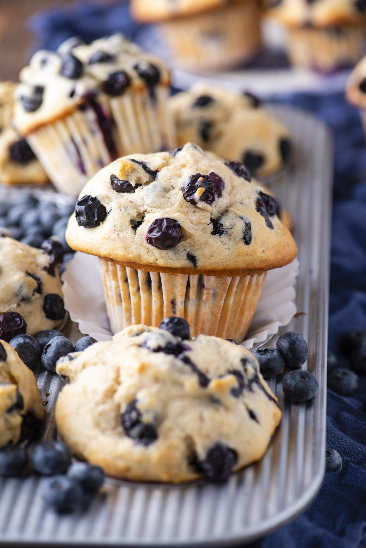 Freshly baked blueberry muffins sit on a striped baking tray, surrounded by scattered blueberries. The muffins are golden brown with blueberries visible on top and throughout, and a dark blue cloth is in the background.