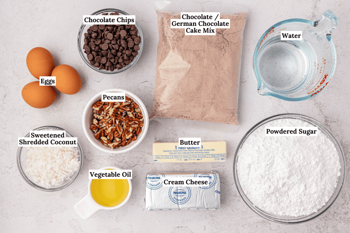 Top-down view of labeled baking ingredients: chocolate chips, chocolate cake mix, water, powdered sugar, cream cheese, butter, vegetable oil, sweetened shredded coconut, pecans, and three eggs.