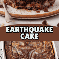 A close-up of a slice of earthquake cake with chocolate chips on a plate, above an image of the whole marbled cake in a baking dish. The text EARTHQUAKE CAKE overlays the middle.