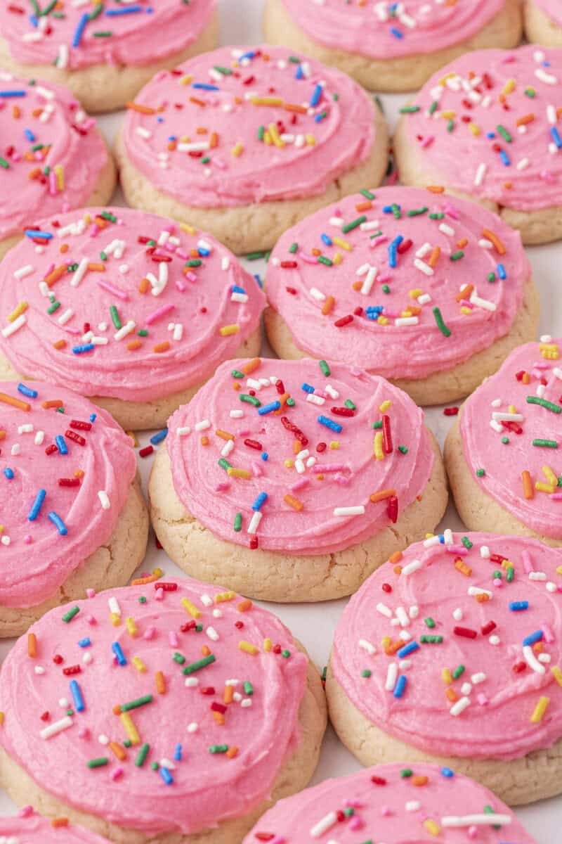 A batch of round sugar cookies topped with bright pink frosting and colorful rainbow sprinkles, arranged closely together on a flat surface.