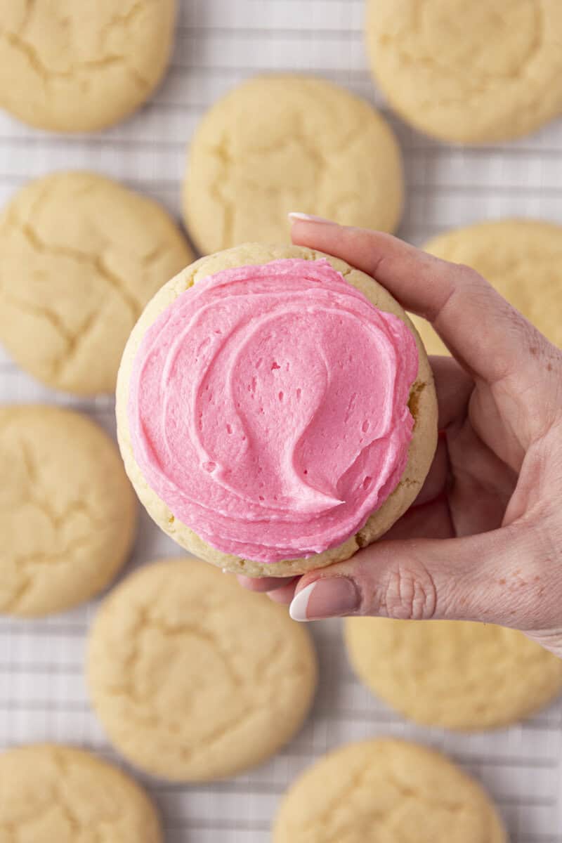A hand holds a round sugar cookie topped with pink frosting above a surface with more plain sugar cookies in the background.